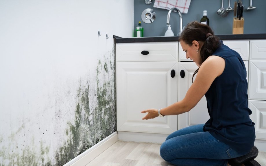 Muffa in casa: 5 modi per prevenirla ed eliminarla